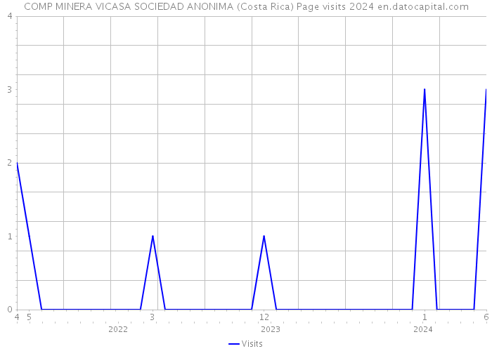 COMP MINERA VICASA SOCIEDAD ANONIMA (Costa Rica) Page visits 2024 