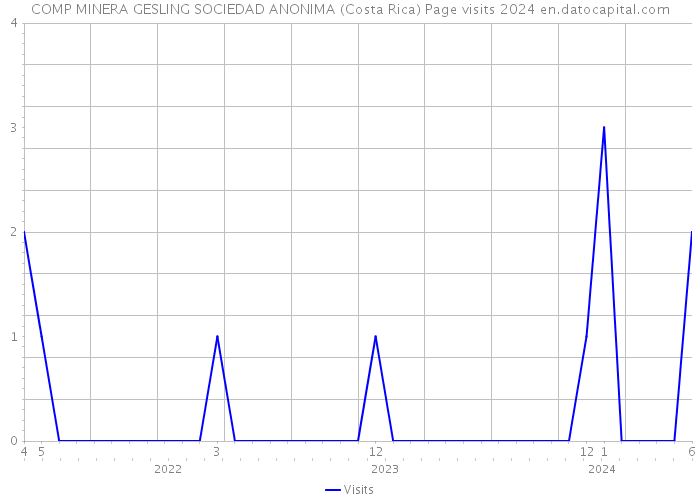 COMP MINERA GESLING SOCIEDAD ANONIMA (Costa Rica) Page visits 2024 