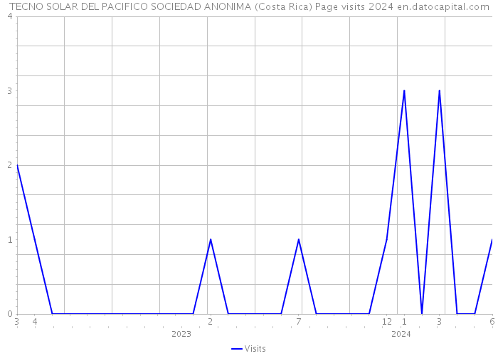 TECNO SOLAR DEL PACIFICO SOCIEDAD ANONIMA (Costa Rica) Page visits 2024 