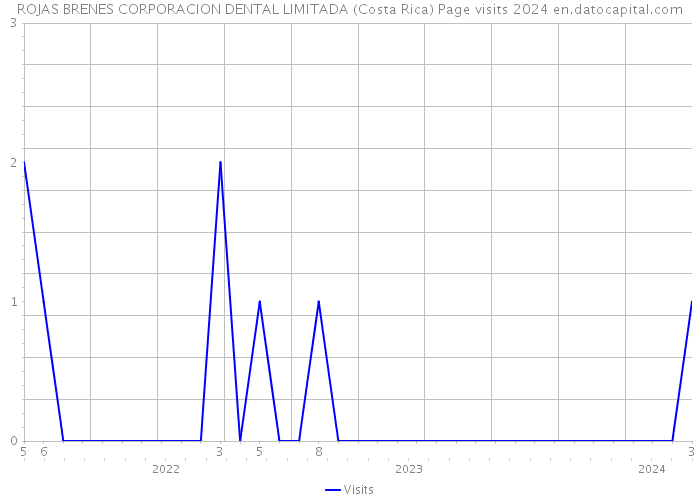 ROJAS BRENES CORPORACION DENTAL LIMITADA (Costa Rica) Page visits 2024 