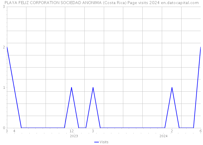PLAYA FELIZ CORPORATION SOCIEDAD ANONIMA (Costa Rica) Page visits 2024 