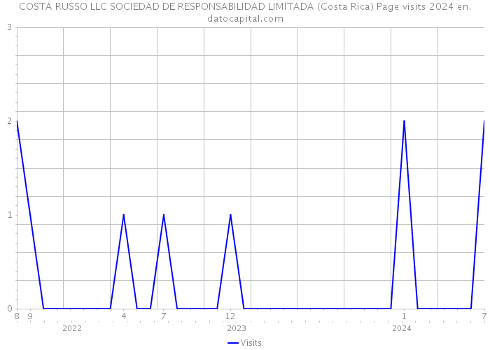 COSTA RUSSO LLC SOCIEDAD DE RESPONSABILIDAD LIMITADA (Costa Rica) Page visits 2024 