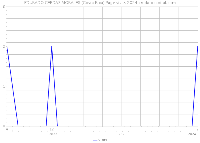 EDURADO CERDAS MORALES (Costa Rica) Page visits 2024 