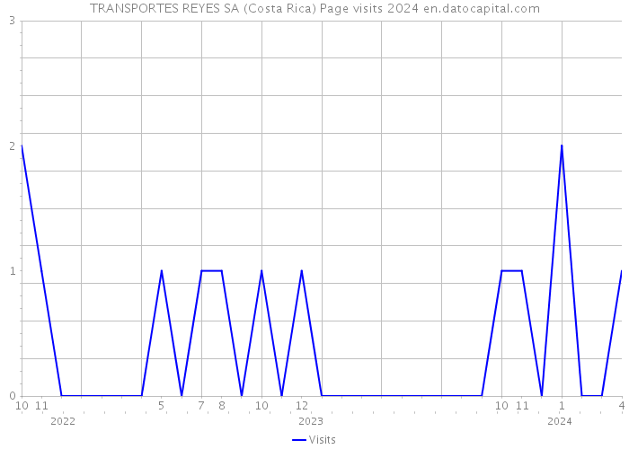 TRANSPORTES REYES SA (Costa Rica) Page visits 2024 