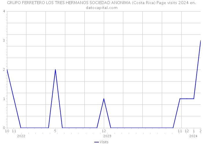 GRUPO FERRETERO LOS TRES HERMANOS SOCIEDAD ANONIMA (Costa Rica) Page visits 2024 