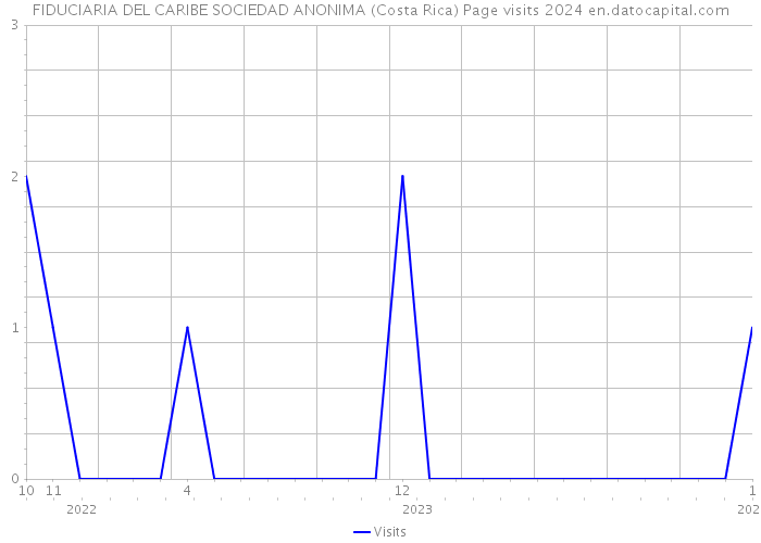 FIDUCIARIA DEL CARIBE SOCIEDAD ANONIMA (Costa Rica) Page visits 2024 