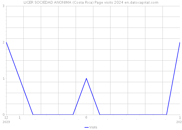 LIGER SOCIEDAD ANONIMA (Costa Rica) Page visits 2024 