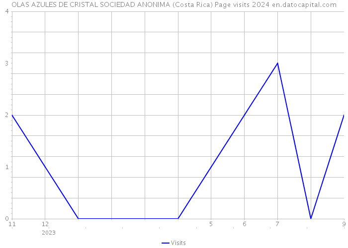 OLAS AZULES DE CRISTAL SOCIEDAD ANONIMA (Costa Rica) Page visits 2024 