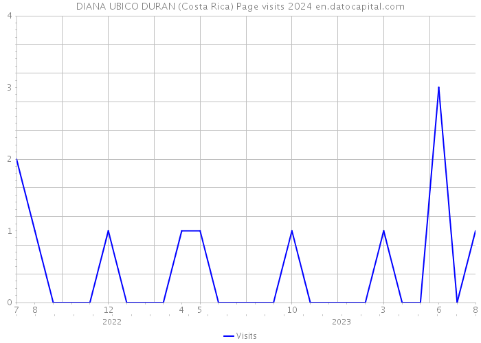 DIANA UBICO DURAN (Costa Rica) Page visits 2024 