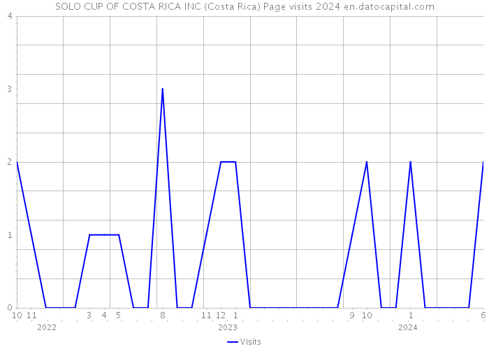 SOLO CUP OF COSTA RICA INC (Costa Rica) Page visits 2024 