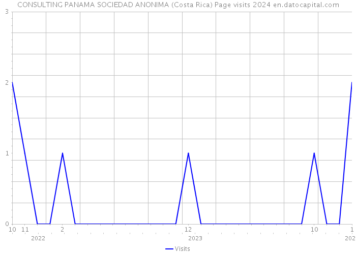 CONSULTING PANAMA SOCIEDAD ANONIMA (Costa Rica) Page visits 2024 