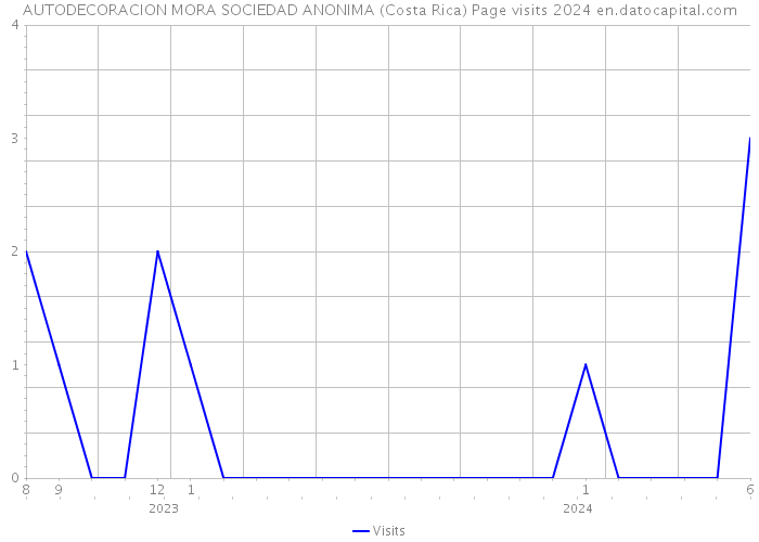 AUTODECORACION MORA SOCIEDAD ANONIMA (Costa Rica) Page visits 2024 