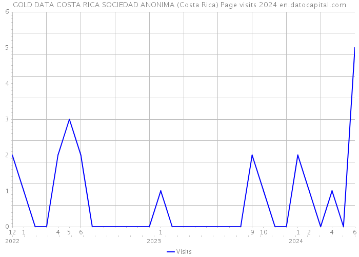 GOLD DATA COSTA RICA SOCIEDAD ANONIMA (Costa Rica) Page visits 2024 