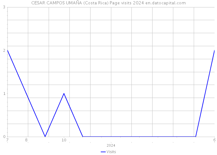 CESAR CAMPOS UMAÑA (Costa Rica) Page visits 2024 