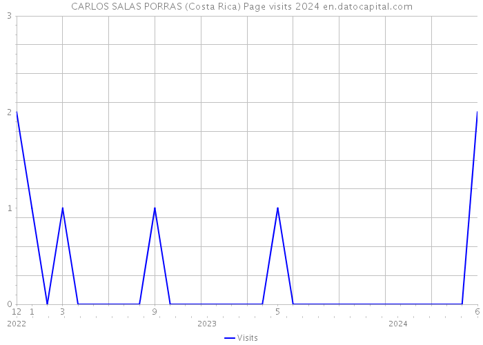 CARLOS SALAS PORRAS (Costa Rica) Page visits 2024 