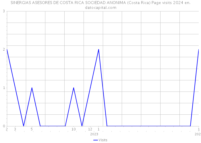 SINERGIAS ASESORES DE COSTA RICA SOCIEDAD ANONIMA (Costa Rica) Page visits 2024 