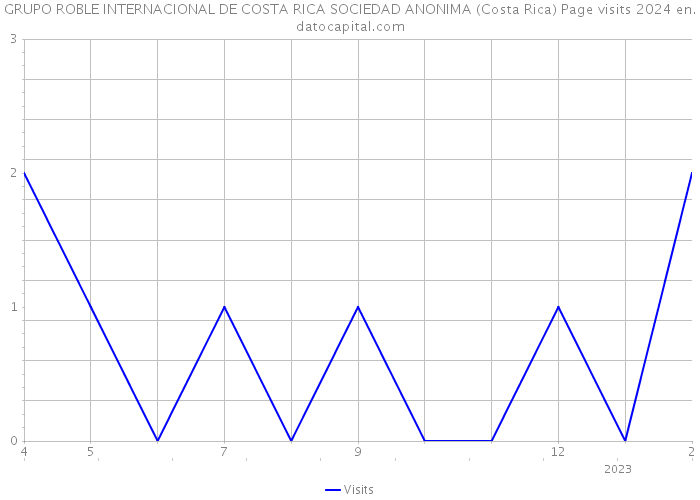 GRUPO ROBLE INTERNACIONAL DE COSTA RICA SOCIEDAD ANONIMA (Costa Rica) Page visits 2024 