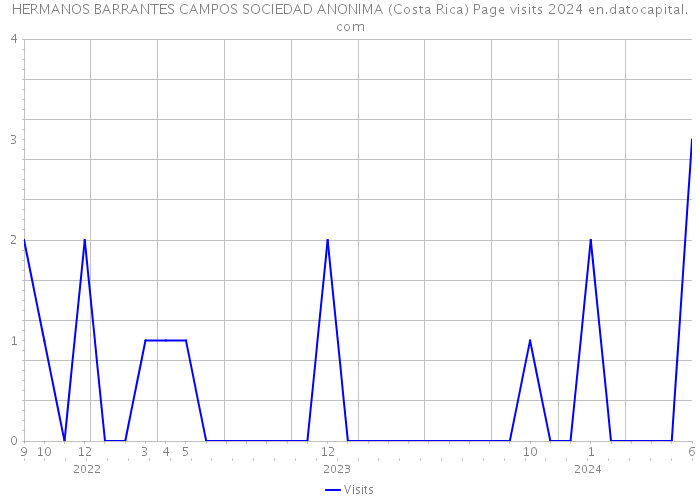 HERMANOS BARRANTES CAMPOS SOCIEDAD ANONIMA (Costa Rica) Page visits 2024 