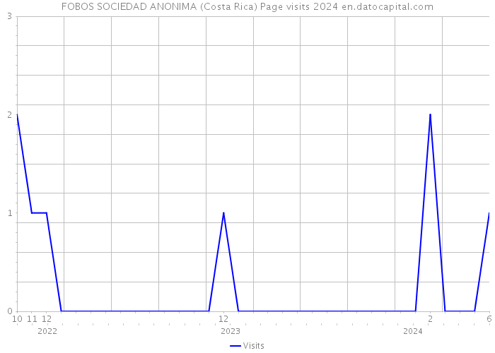 FOBOS SOCIEDAD ANONIMA (Costa Rica) Page visits 2024 