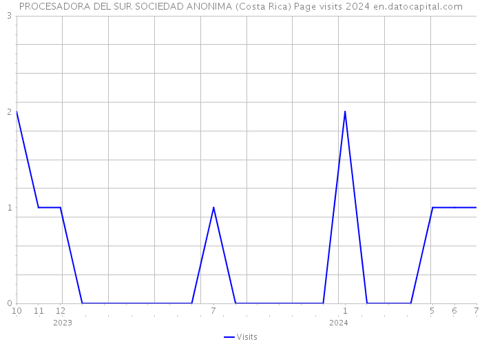 PROCESADORA DEL SUR SOCIEDAD ANONIMA (Costa Rica) Page visits 2024 