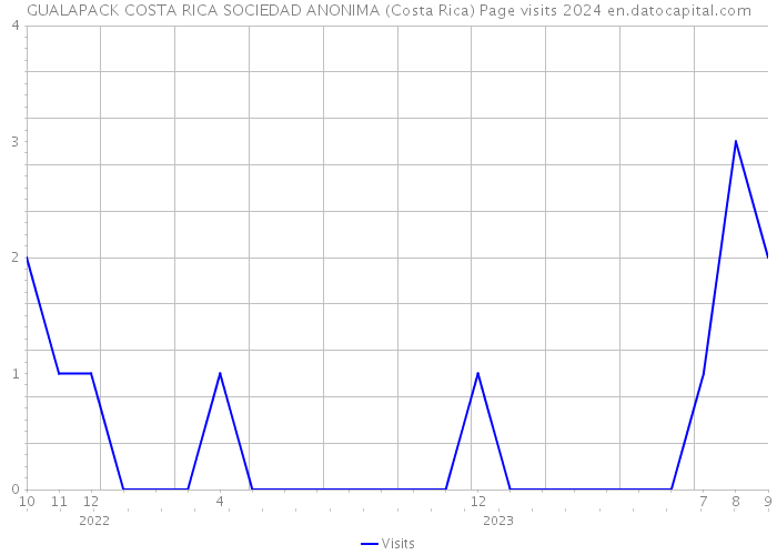 GUALAPACK COSTA RICA SOCIEDAD ANONIMA (Costa Rica) Page visits 2024 