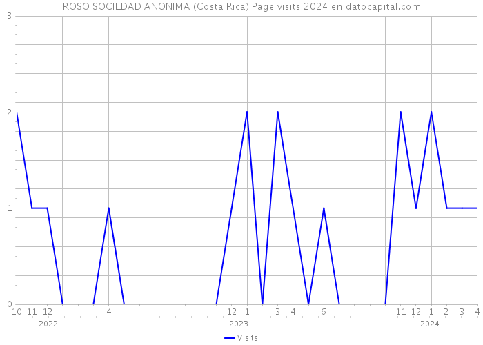 ROSO SOCIEDAD ANONIMA (Costa Rica) Page visits 2024 
