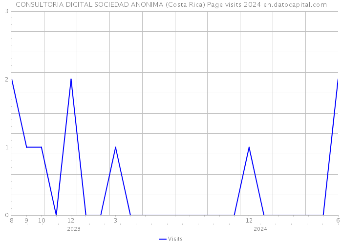 CONSULTORIA DIGITAL SOCIEDAD ANONIMA (Costa Rica) Page visits 2024 