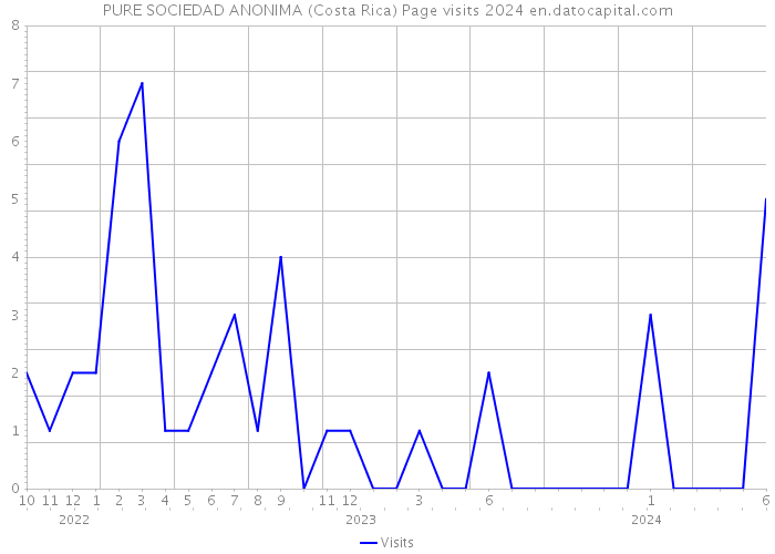 PURE SOCIEDAD ANONIMA (Costa Rica) Page visits 2024 