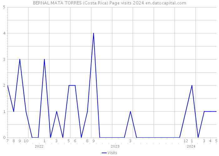 BERNAL MATA TORRES (Costa Rica) Page visits 2024 