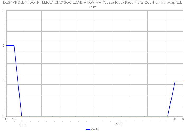 DESARROLLANDO INTELIGENCIAS SOCIEDAD ANONIMA (Costa Rica) Page visits 2024 