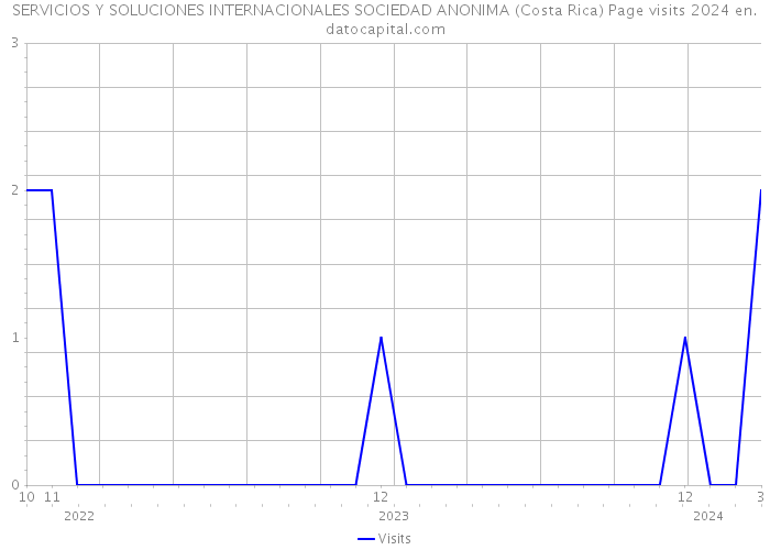 SERVICIOS Y SOLUCIONES INTERNACIONALES SOCIEDAD ANONIMA (Costa Rica) Page visits 2024 