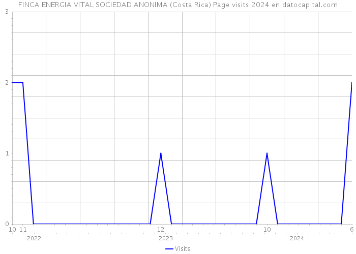 FINCA ENERGIA VITAL SOCIEDAD ANONIMA (Costa Rica) Page visits 2024 