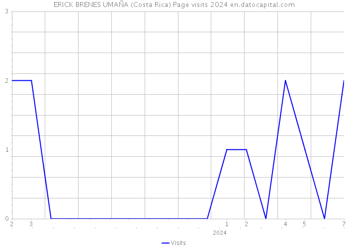 ERICK BRENES UMAÑA (Costa Rica) Page visits 2024 