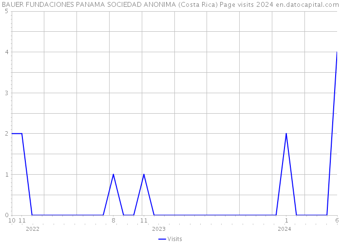 BAUER FUNDACIONES PANAMA SOCIEDAD ANONIMA (Costa Rica) Page visits 2024 