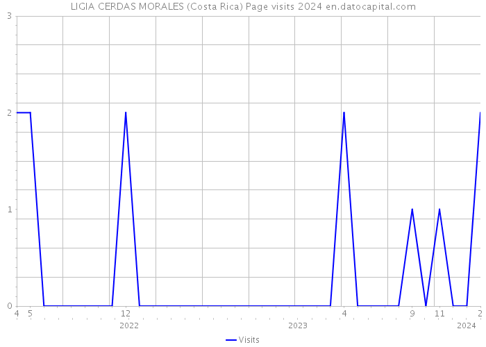 LIGIA CERDAS MORALES (Costa Rica) Page visits 2024 