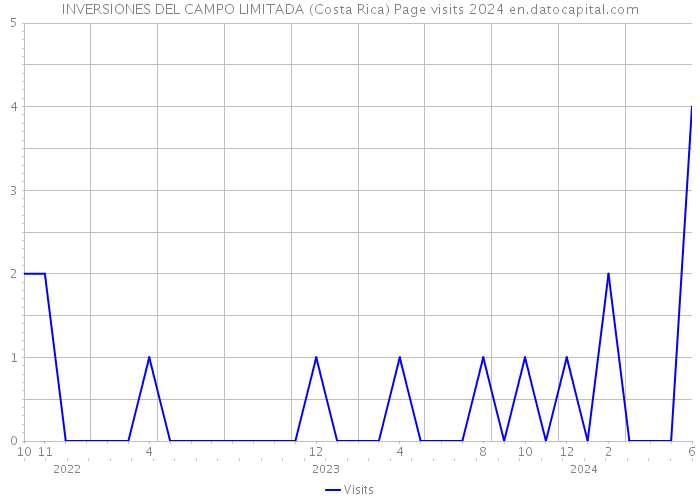INVERSIONES DEL CAMPO LIMITADA (Costa Rica) Page visits 2024 