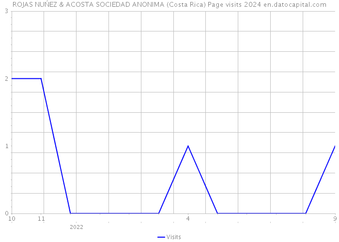 ROJAS NUŃEZ & ACOSTA SOCIEDAD ANONIMA (Costa Rica) Page visits 2024 
