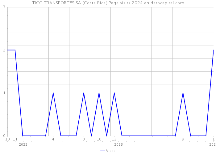 TICO TRANSPORTES SA (Costa Rica) Page visits 2024 