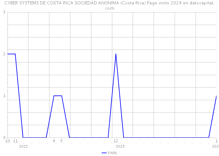 CYBER SYSTEMS DE COSTA RICA SOCIEDAD ANONIMA (Costa Rica) Page visits 2024 