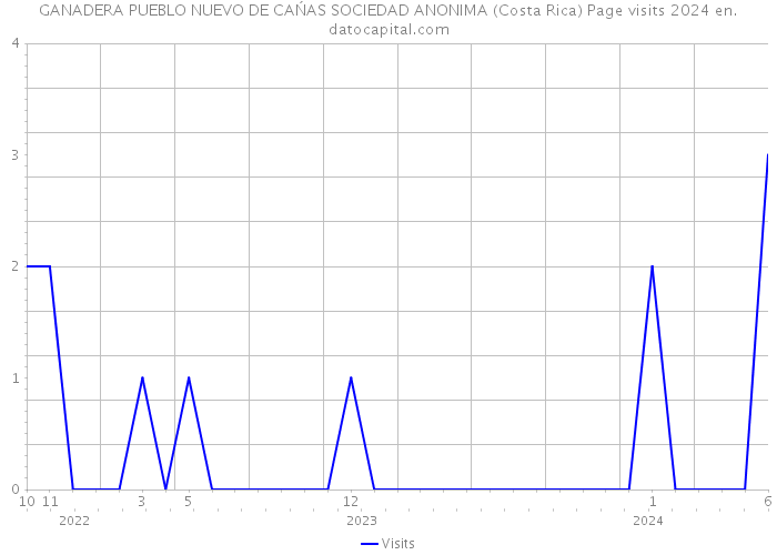 GANADERA PUEBLO NUEVO DE CAŃAS SOCIEDAD ANONIMA (Costa Rica) Page visits 2024 