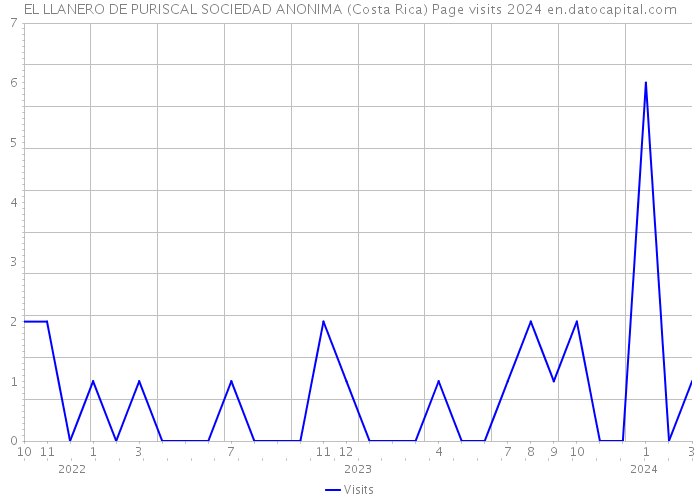EL LLANERO DE PURISCAL SOCIEDAD ANONIMA (Costa Rica) Page visits 2024 