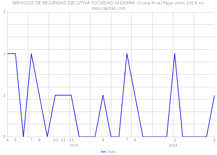 SERVICIOS DE SEGURIDAD EJECUTIVA SOCIEDAD ANONIMA (Costa Rica) Page visits 2024 