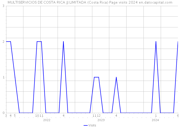MULTISERVICIOS DE COSTA RICA JJ LIMITADA (Costa Rica) Page visits 2024 