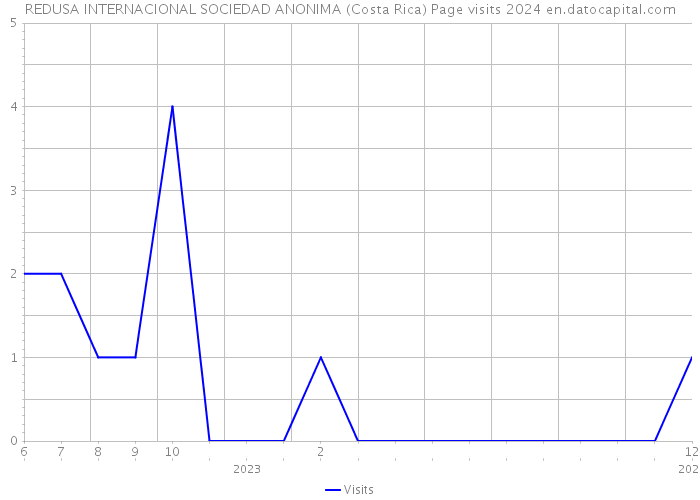REDUSA INTERNACIONAL SOCIEDAD ANONIMA (Costa Rica) Page visits 2024 