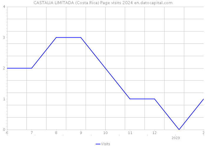 CASTALIA LIMITADA (Costa Rica) Page visits 2024 