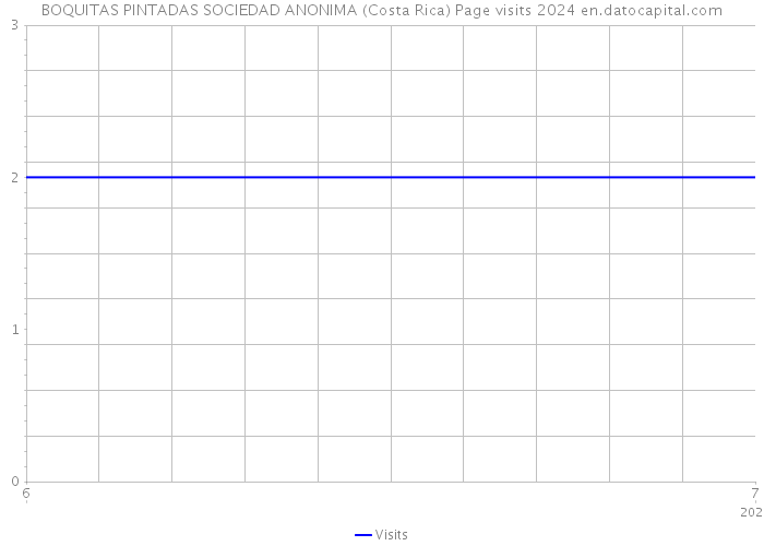 BOQUITAS PINTADAS SOCIEDAD ANONIMA (Costa Rica) Page visits 2024 