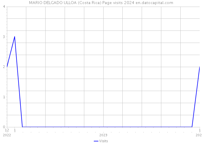 MARIO DELGADO ULLOA (Costa Rica) Page visits 2024 