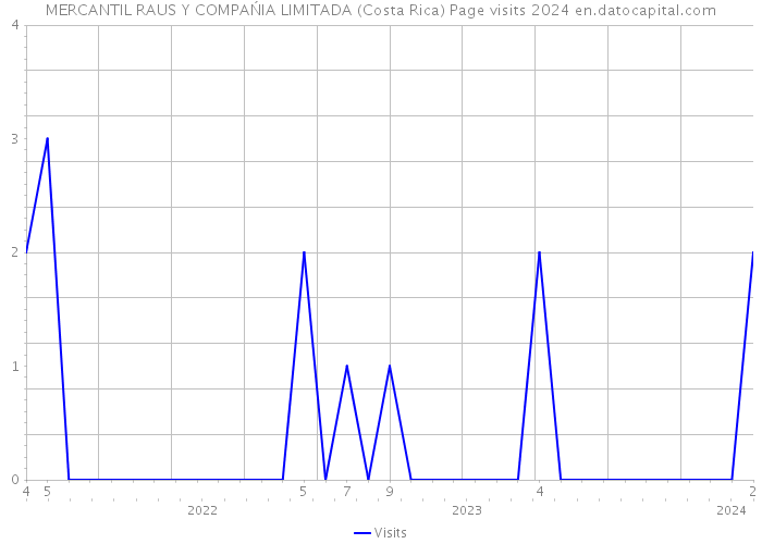 MERCANTIL RAUS Y COMPAŃIA LIMITADA (Costa Rica) Page visits 2024 