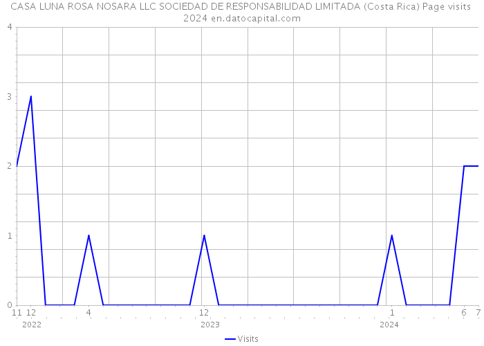 CASA LUNA ROSA NOSARA LLC SOCIEDAD DE RESPONSABILIDAD LIMITADA (Costa Rica) Page visits 2024 