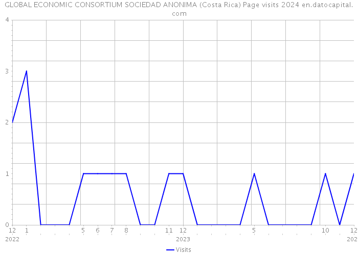 GLOBAL ECONOMIC CONSORTIUM SOCIEDAD ANONIMA (Costa Rica) Page visits 2024 